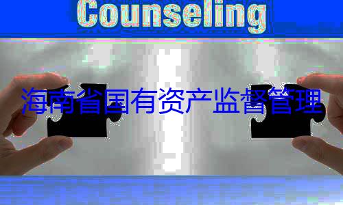 资产监督管有福接受审海南省国有委副书记王理委员会党查调查